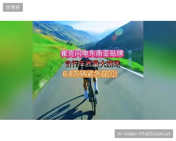 近三年，中国高端自行车零部件的出口订单有超过30%转移至东南亚，低价竞争策略失效